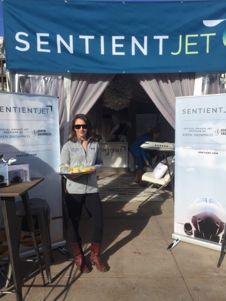 Sentient Jet gallery 1