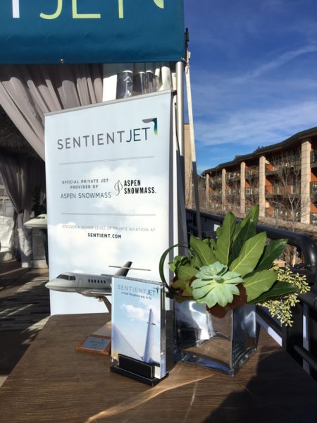 Sentient Jet gallery 6